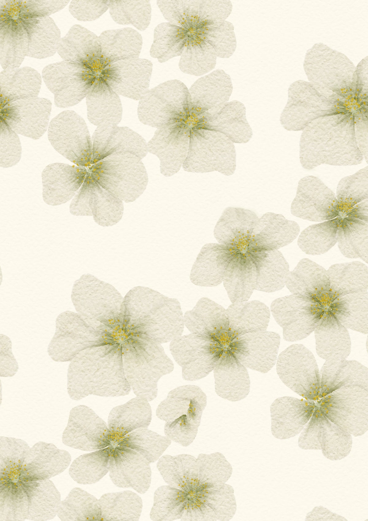 Helleborus Fabric, White